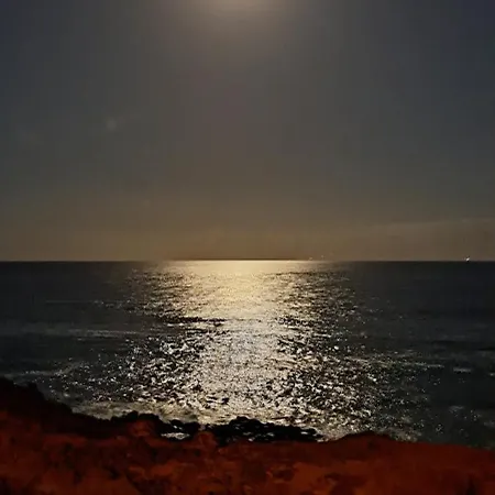 Casa Leona 아파트 팔름-마르