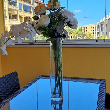 Casa Leona 팔름-마르